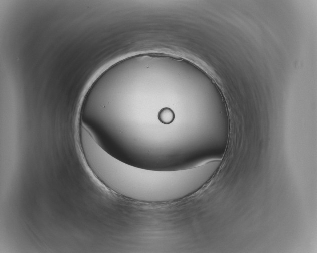 X0000112141536200908211343