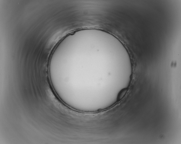 X0000112140002200908281328