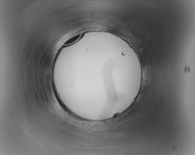 X0000112140003200908281327