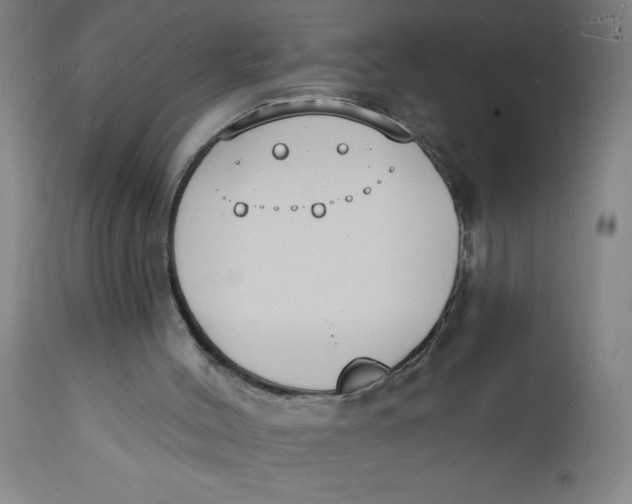 X0000112140004200908281327