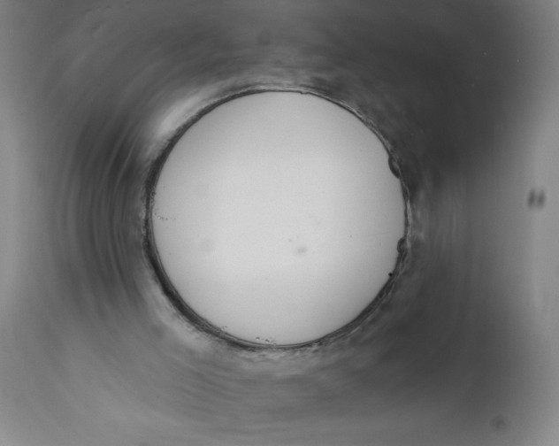 X0000112140005200908281327