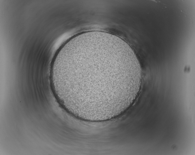 X0000112140006200908281327