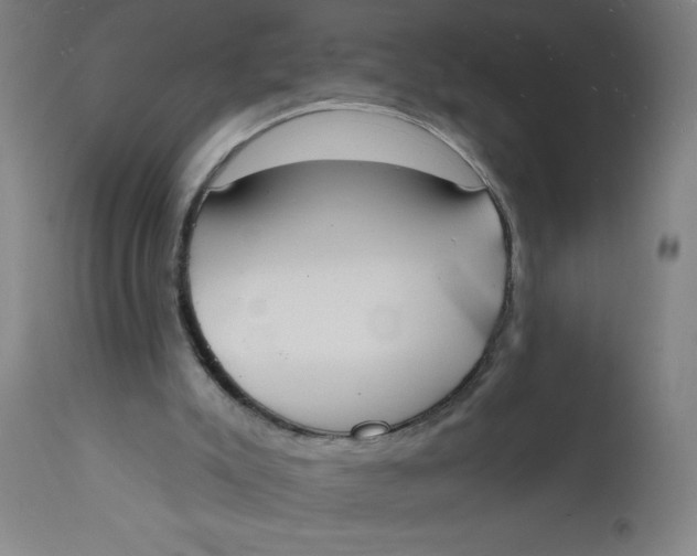 X0000112140007200908281327