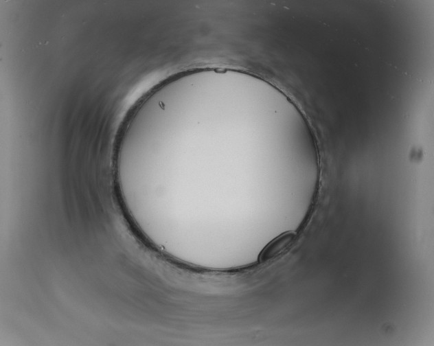 X0000112140008200908281327