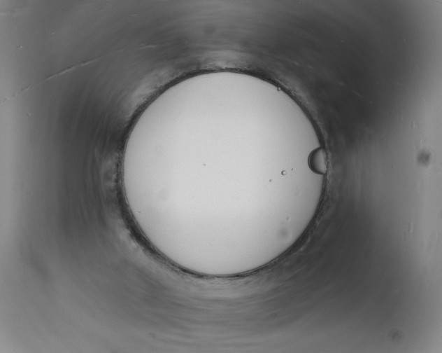 X0000112140010200908281327