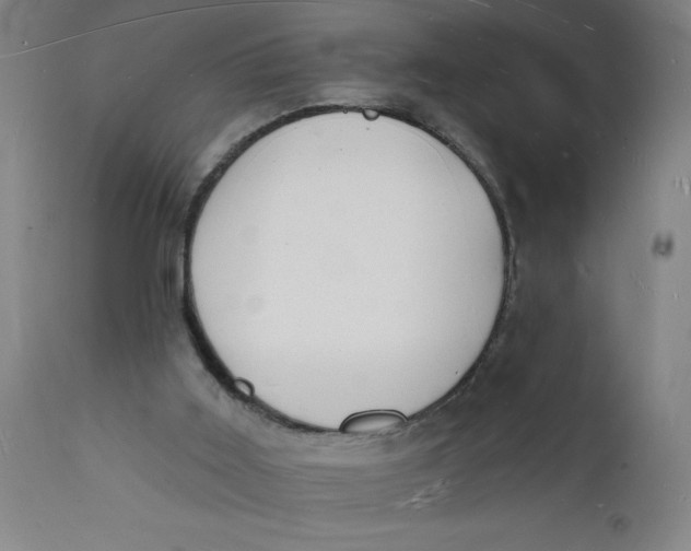 X0000112140011200908281327