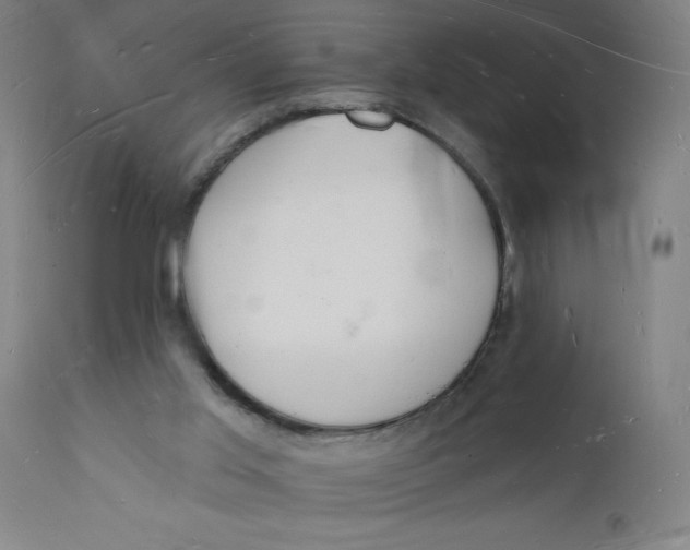 X0000112140013200908281327