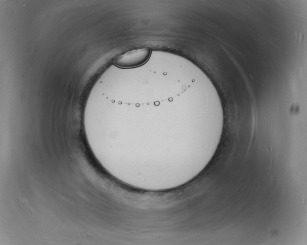 X0000112140016200908281327