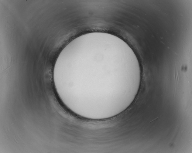 X0000112140017200908281327