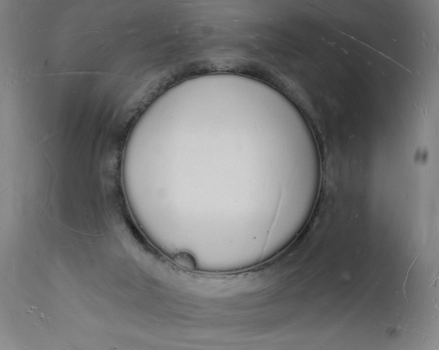 X0000112140018200908281327