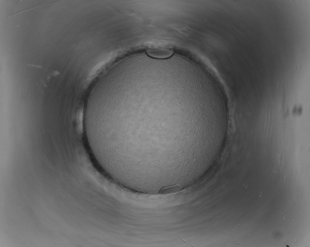 X0000112140019200908281327