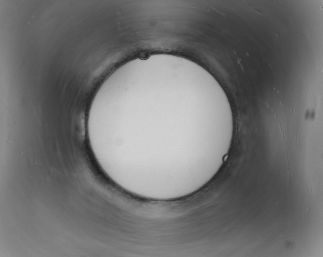 X0000112140020200908281327