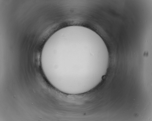 X0000112140022200908281327