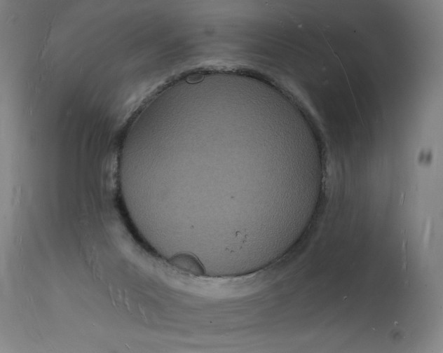 X0000112140023200908281327