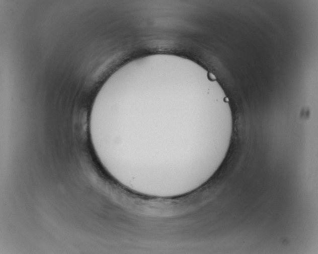 X0000112140024200908281327