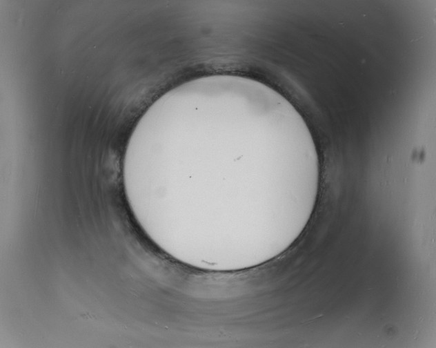 X0000112140025200908281327