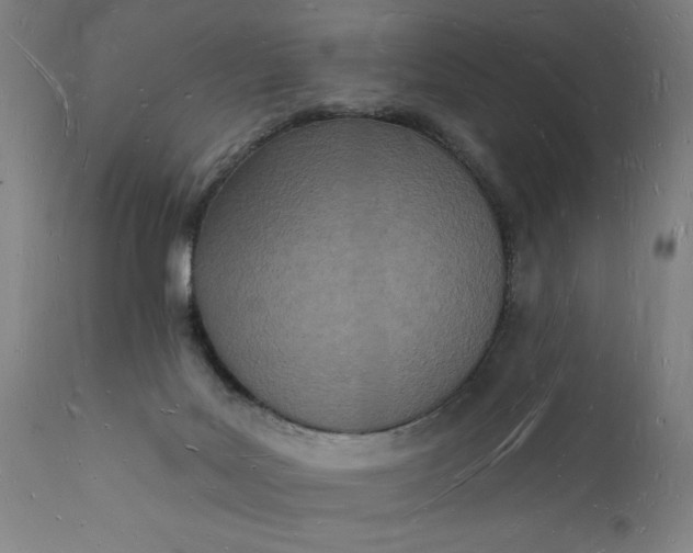 X0000112140027200908281327