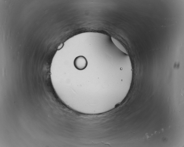 X0000112140029200908281327