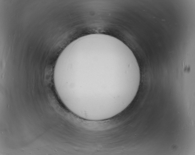 X0000112140030200908281327