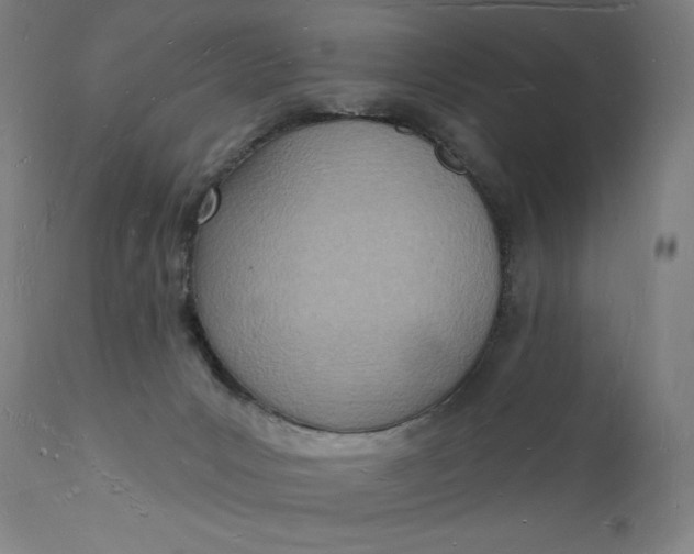 X0000112140031200908281327