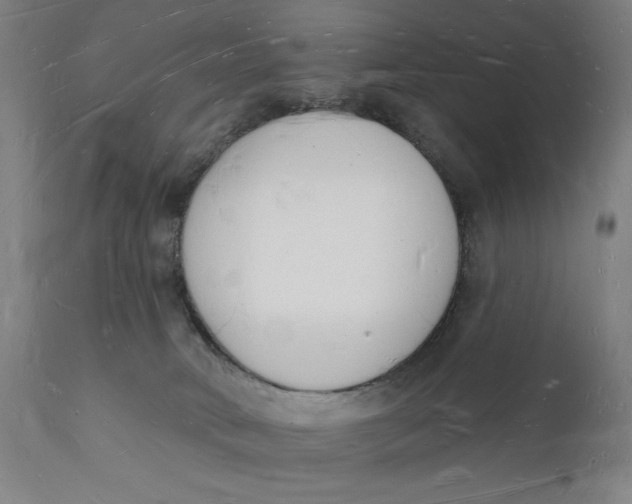 X0000112140034200908281327