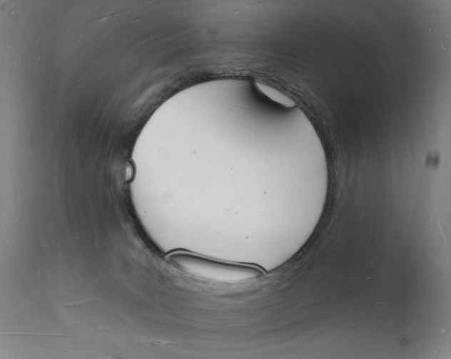 X0000112140035200908281327