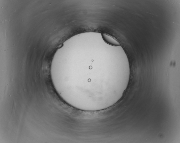 X0000112140037200908281327