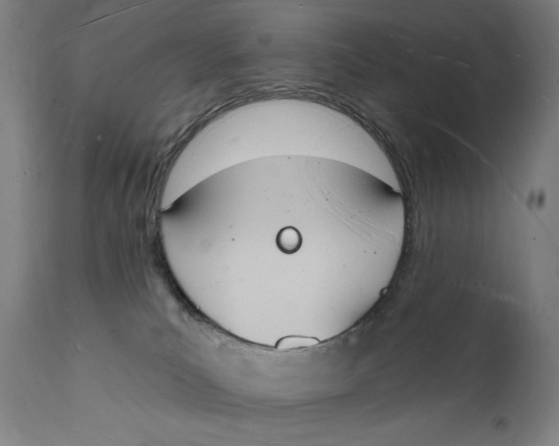 X0000112140039200908281327