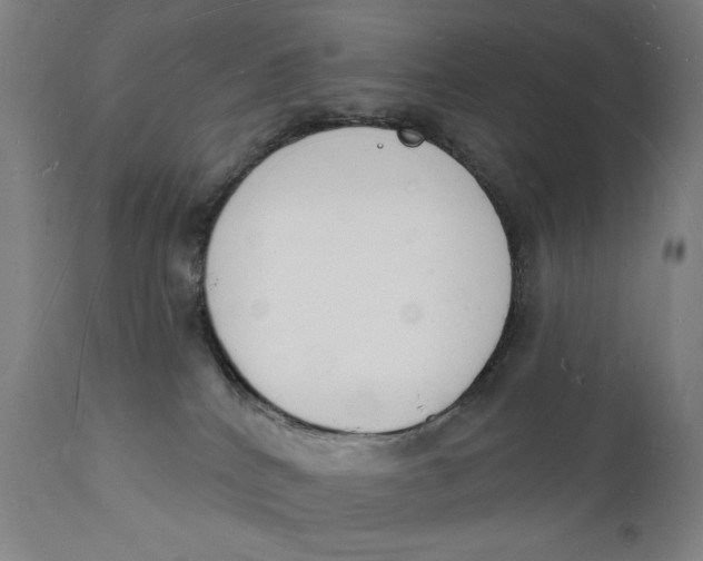 X0000112140040200908281327