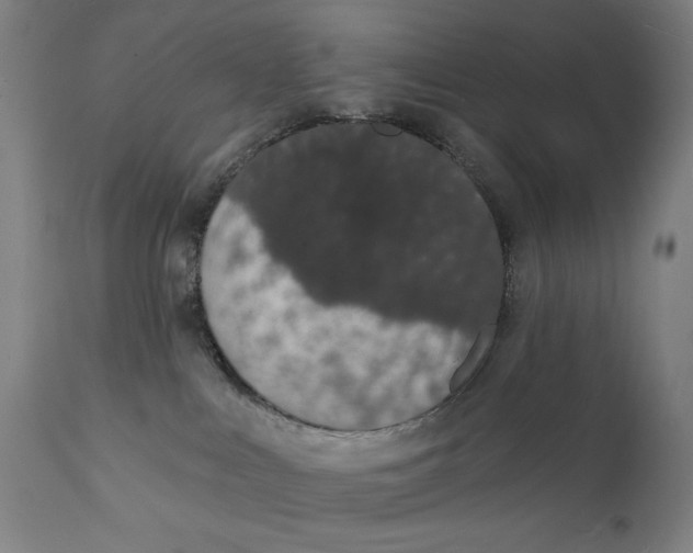 X0000112140043200908281327