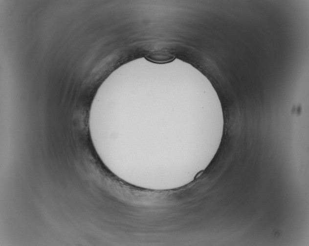 X0000112140044200908281327