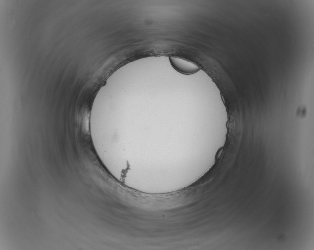 X0000112140046200908281327