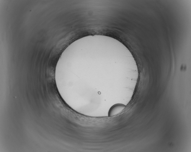 X0000112140048200908281327