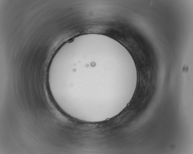 X0000112140049200908281326