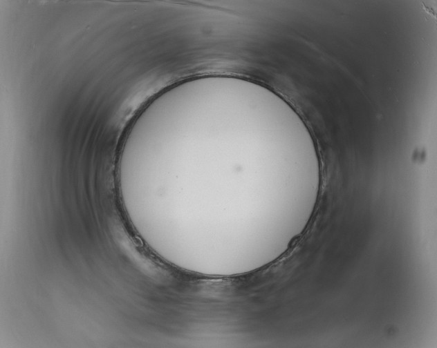 X0000112140050200908281326