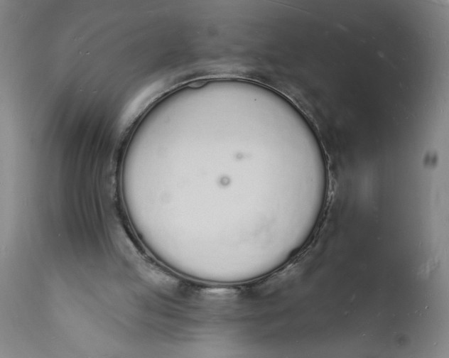 X0000112140053200908281326