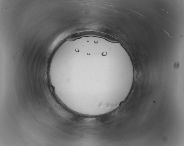 X0000112140054200908281326