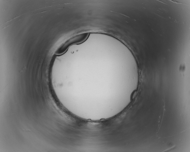 X0000112140055200908281326