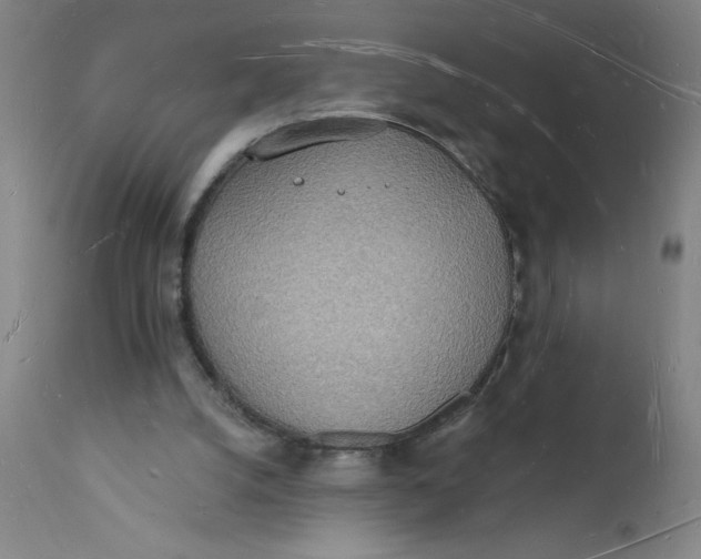 X0000112140056200908281326