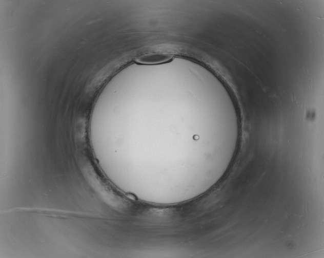 X0000112140057200908281326