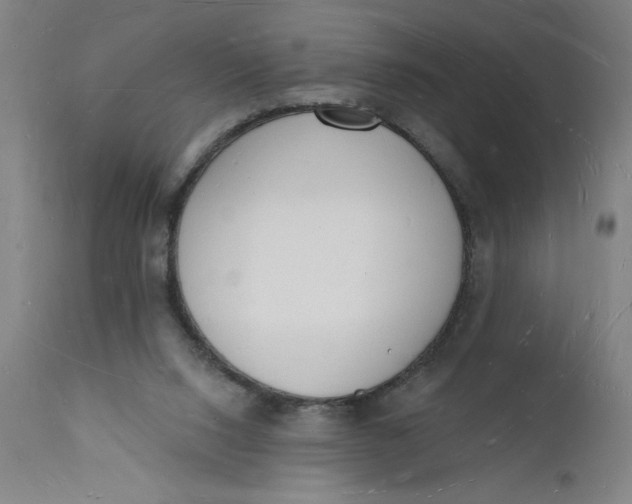 X0000112140064200908281326