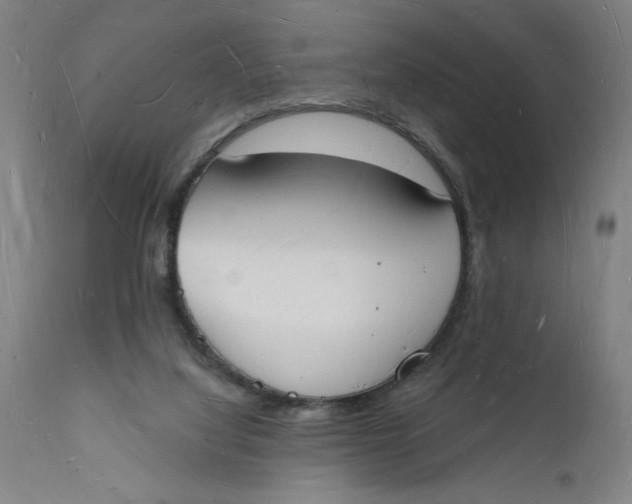 X0000112140068200908281326