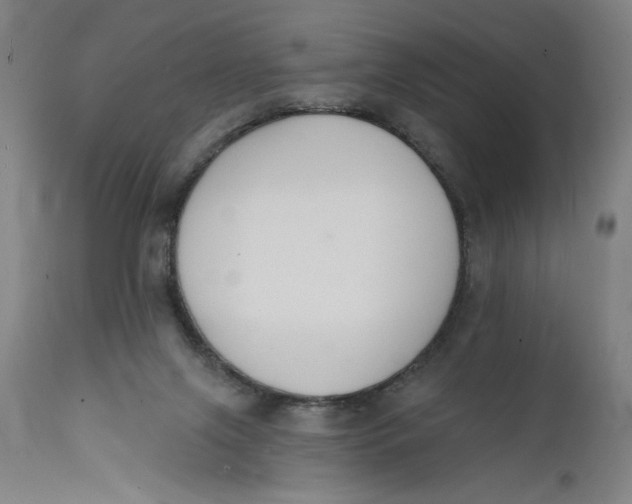 X0000112140071200908281327