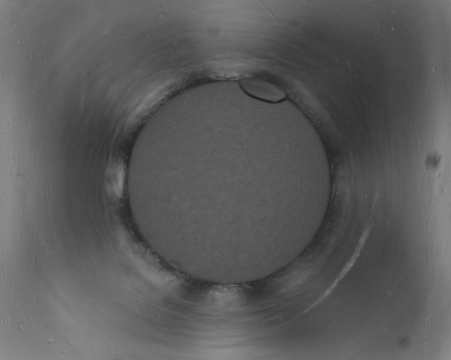 X0000112140076200908281327