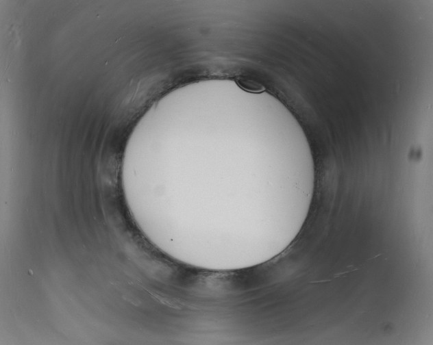 X0000112140078200908281327