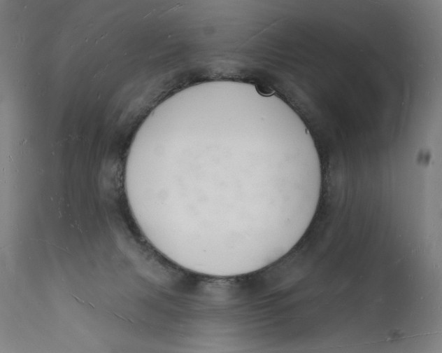 X0000112140079200908281327