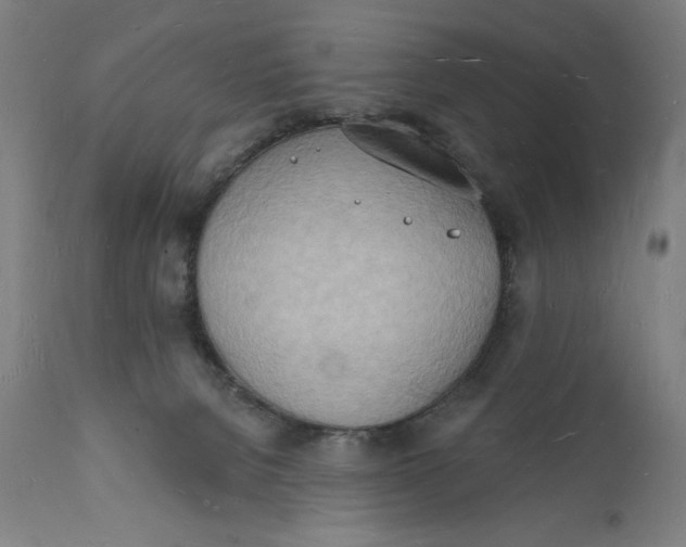 X0000112140080200908281327