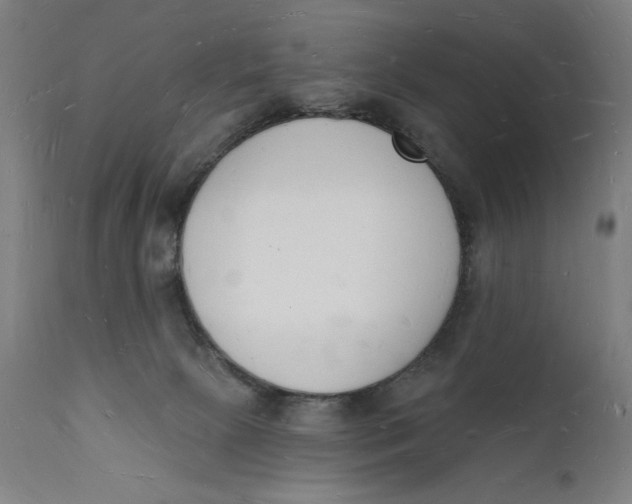 X0000112140081200908281327