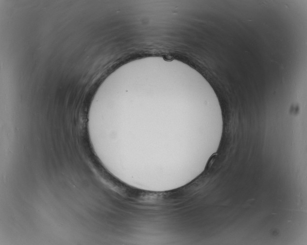 X0000112140084200908281327