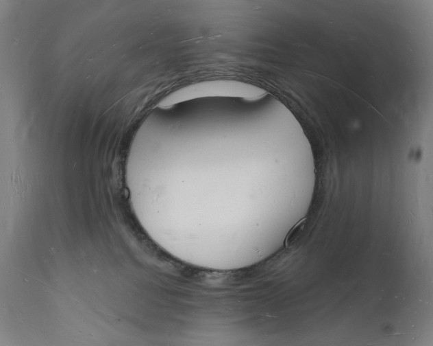 X0000112140088200908281327